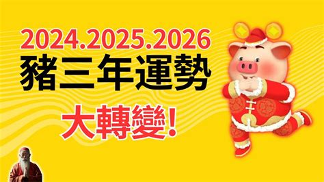 屬豬幸運色2024|2024豬年開運色速查